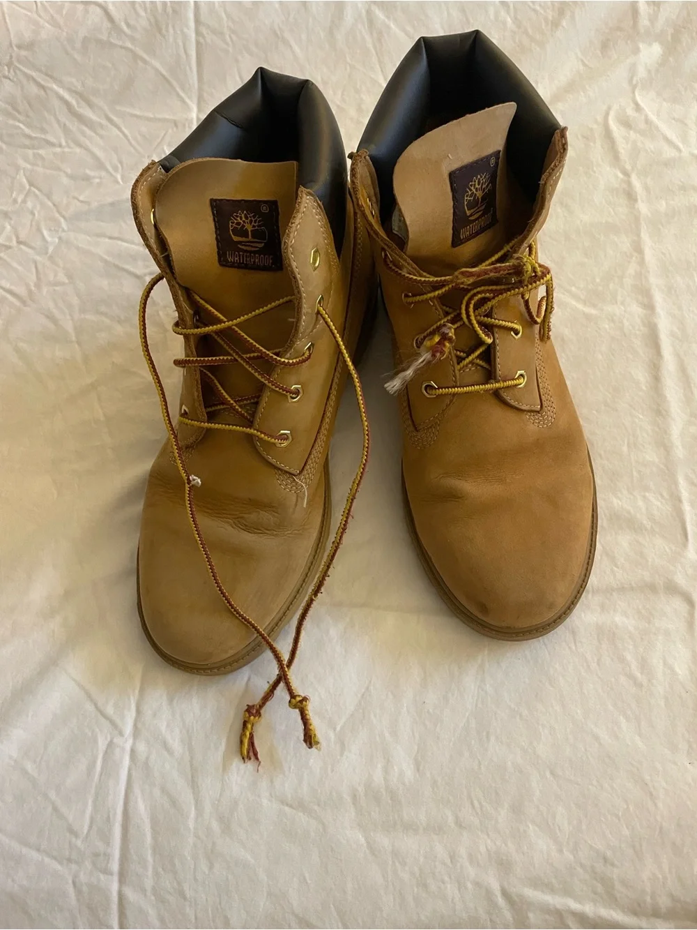Timberland Junior Boot in Wheat Brown 7M